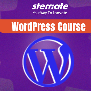 WordPress From Zero to Launch